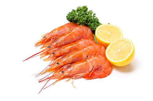 قیمت میگو سرتیز + قیمت عمده